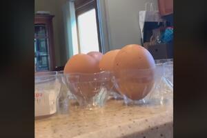 VIDEO Šta se to krije iza školjke jaja?