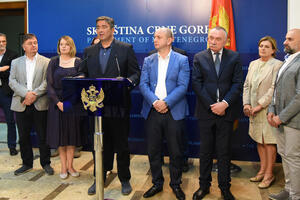 DF: Skandalozna i sramna presuda, braća Đukanović nastavljaju da...