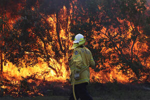 VIDEO Australija: Više od 40 požara van kontrole, gasi ih oko 500...