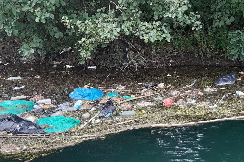 Zabilježene ružne slike, Foto: Ministarstvo poljoprivrede i ruralnog razvoja