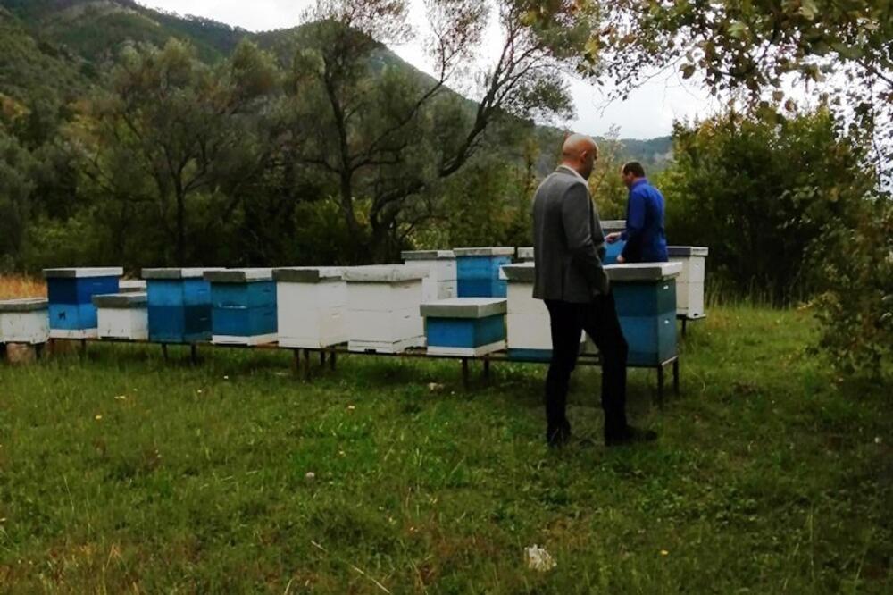 Gvozden Balšić, Foto: Opština Tivat