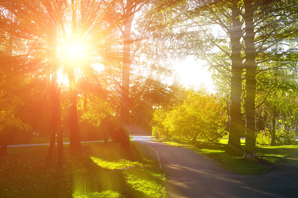 Ilustracija, Foto: Shutterstock, Shutterstock, Shutterstock, Shutterstock