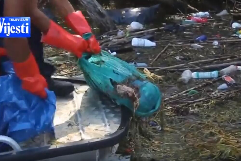 Uginule kokoške, Foto: Screenshot/TV Vijesti