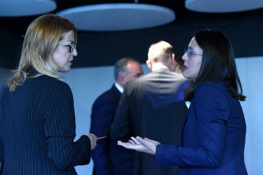 Suzana Pribilović sa predstavnicima civilnog sektora, Foto: Boris Pejović