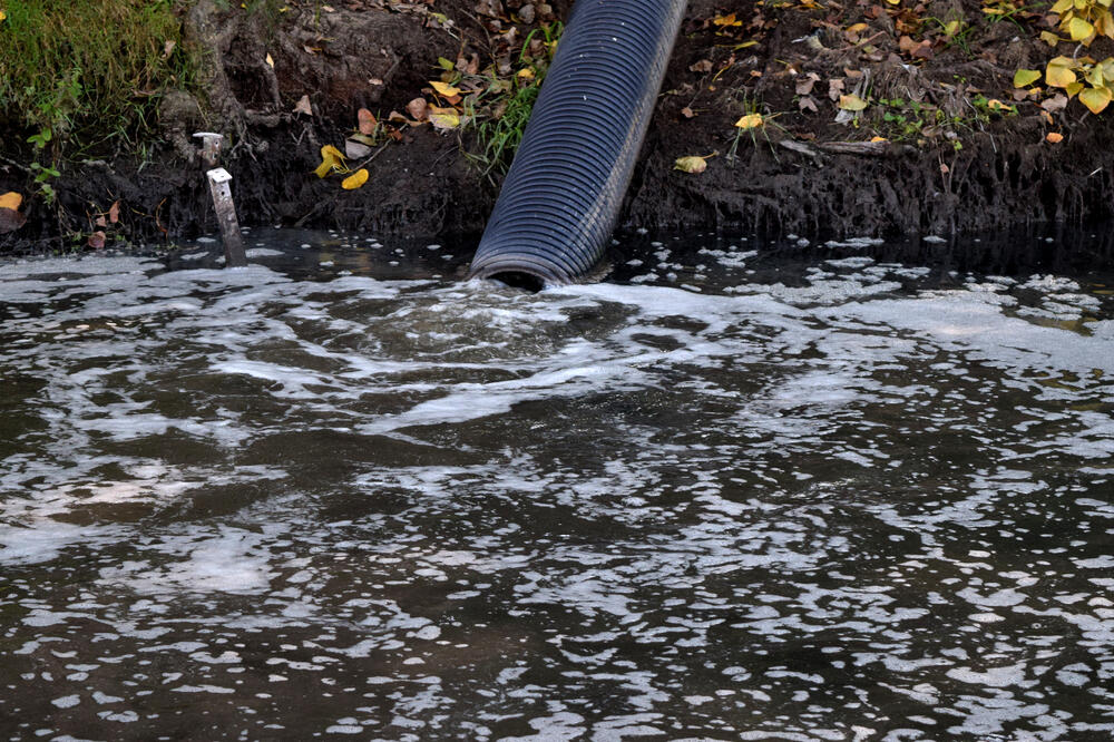 Izliv fekalija u Zetu iz farme svinja, Foto: Luka Zeković