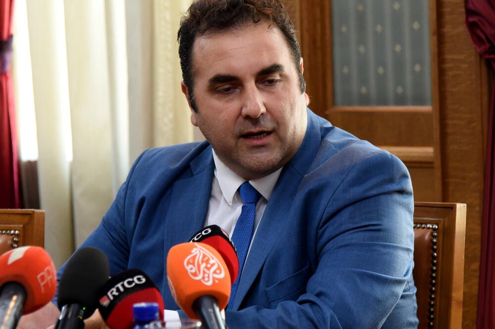 ASK nema dovoljno vremena za kontrolu: Radulović, Foto: Luka Zeković