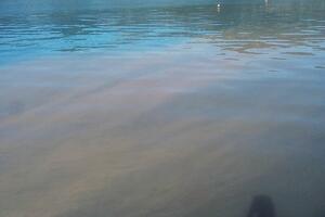 Ružan prizor u Donjoj Lastvi: Zamućena morska voda