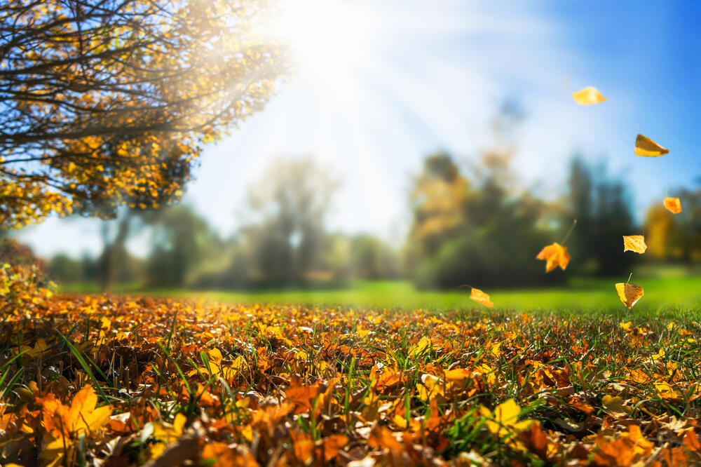 Ilustracija, Foto: Shutterstock, Shutterstock