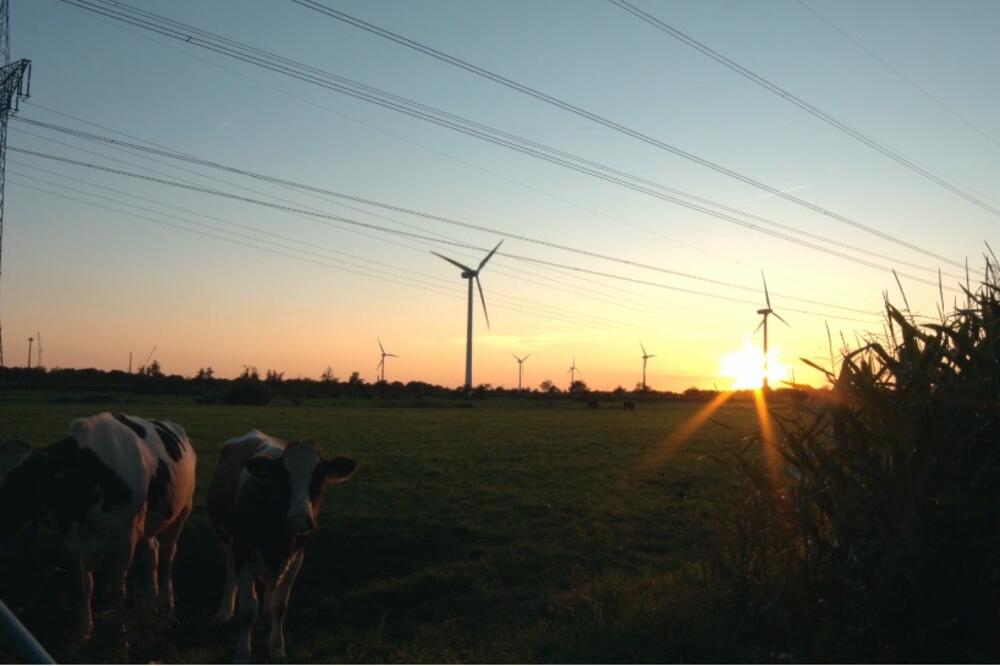 Ilustracija, Foto: WPD