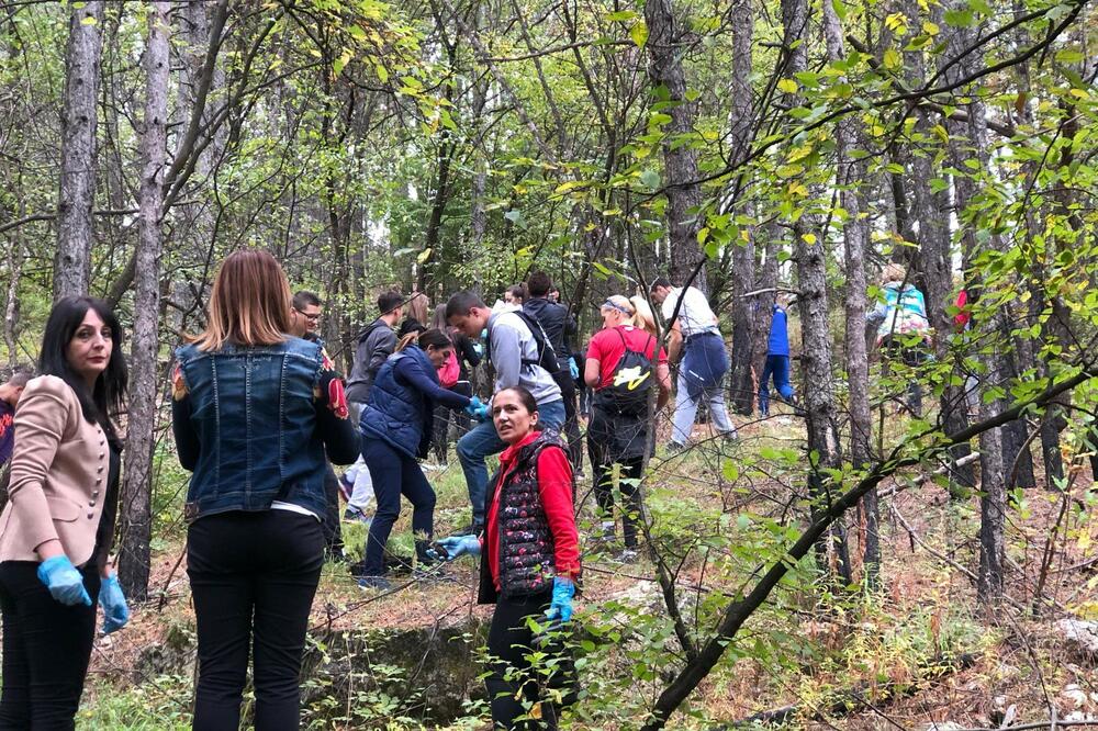 Sa današnje akcije sadnje, Foto: Svetlana Mandić