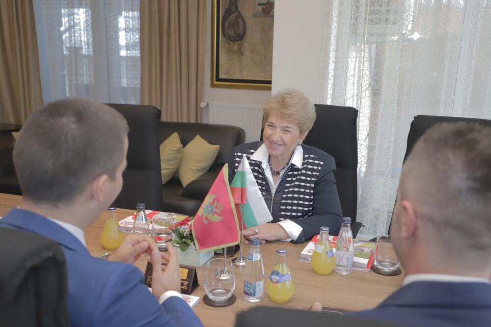 Sa sastanka, Foto: Demokratska Crna Gora