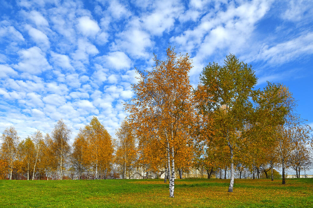 Ilustracija, Foto: Shutterstock