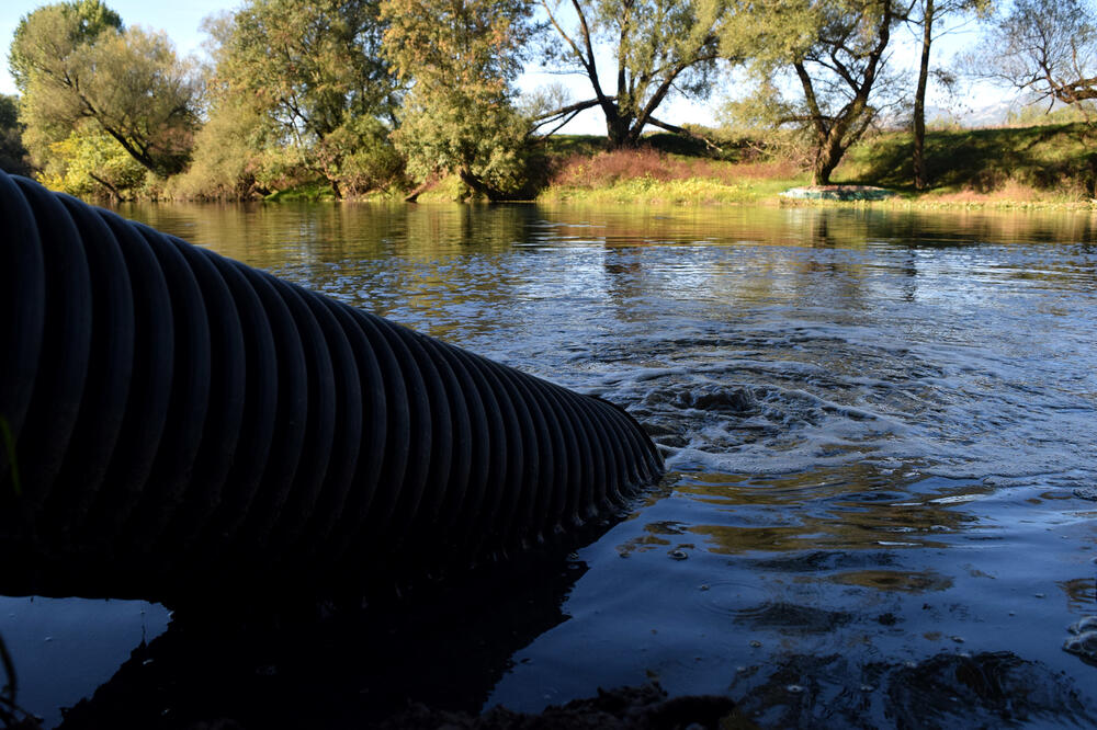 Svinjski otpad ide direktno u rijeku, Foto: Luka Zeković