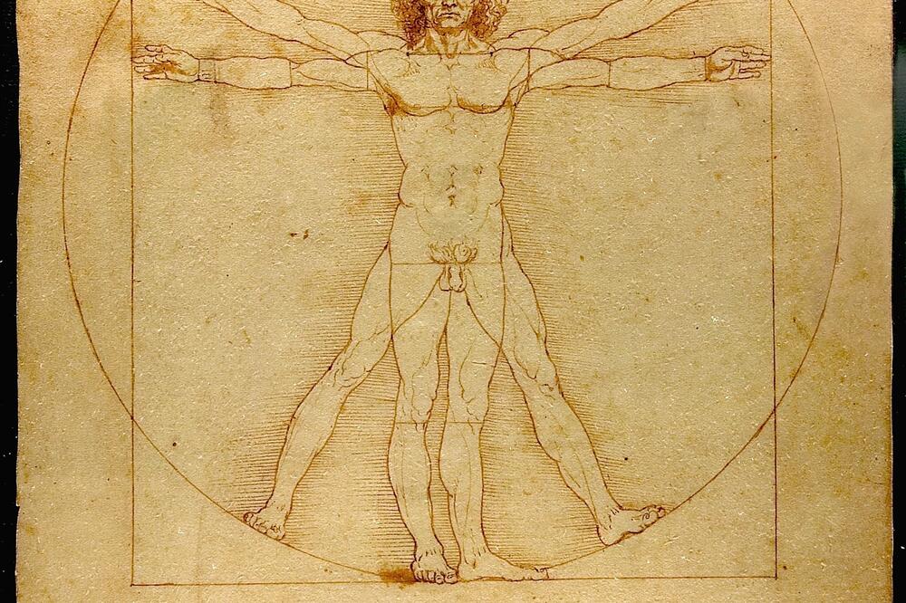 Vitruvijev čovjek, Foto: Wikimedia Commons