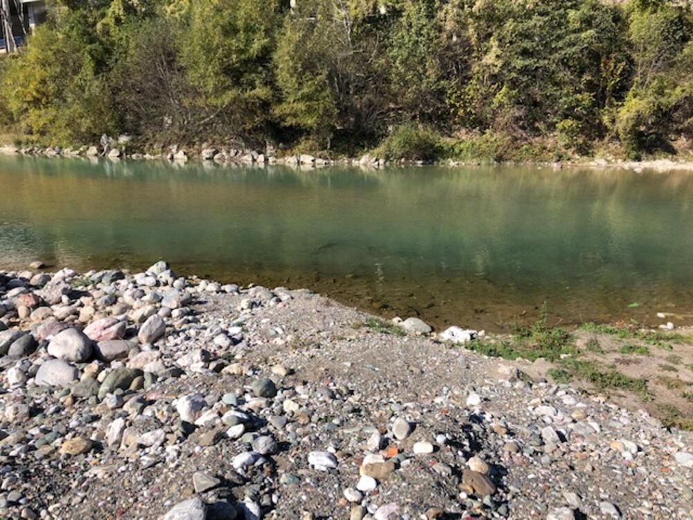 Sa današnje akcije čišćenja Tare