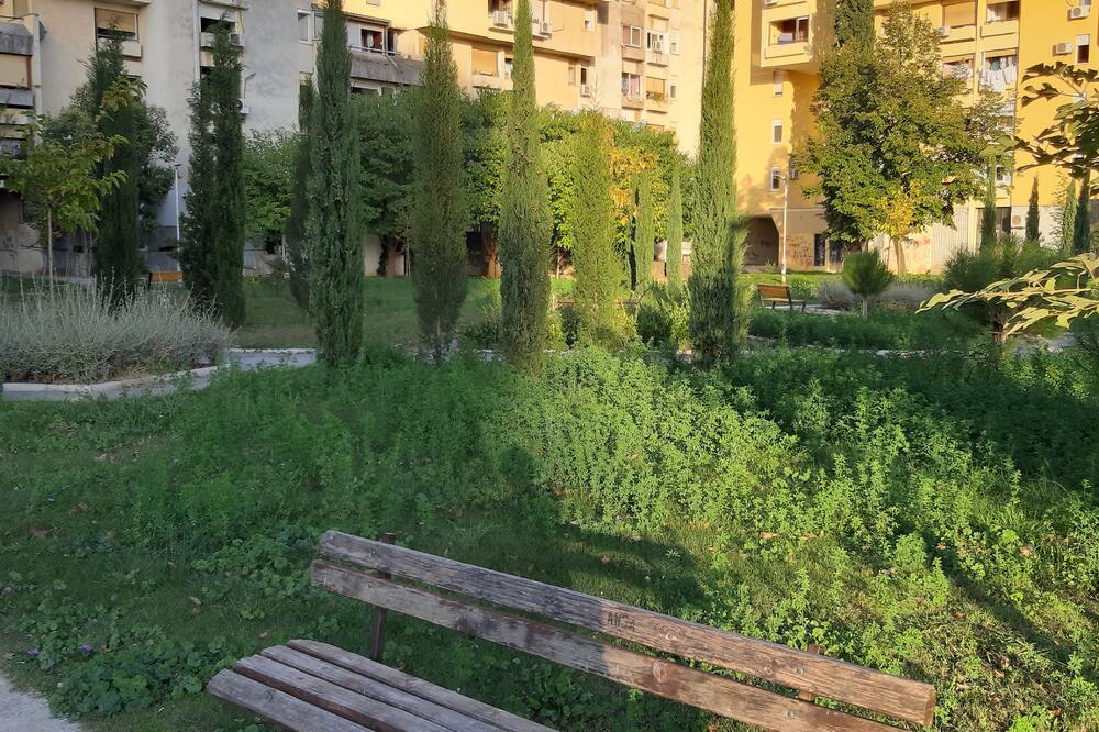 Park u Bloku 5, Foto: SNP