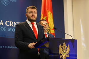 Koprivica: DPS prepoznat po podređivanju državnih resursa partiji