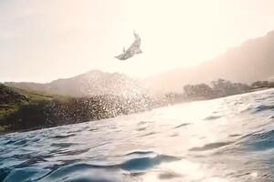 Pogledajte: Delfin pokazao kako se pleše u vodi