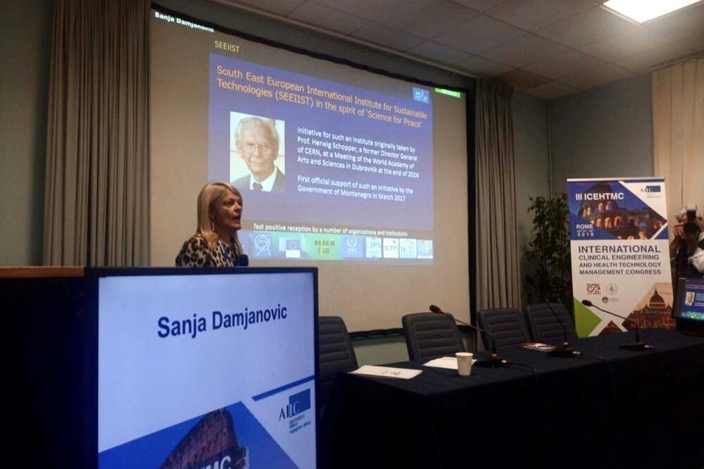 Damjanović u Rimu, Foto: Ministarstvo nauke