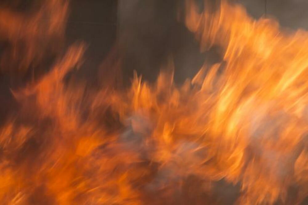 Ilustracija, Foto: Shutterstock