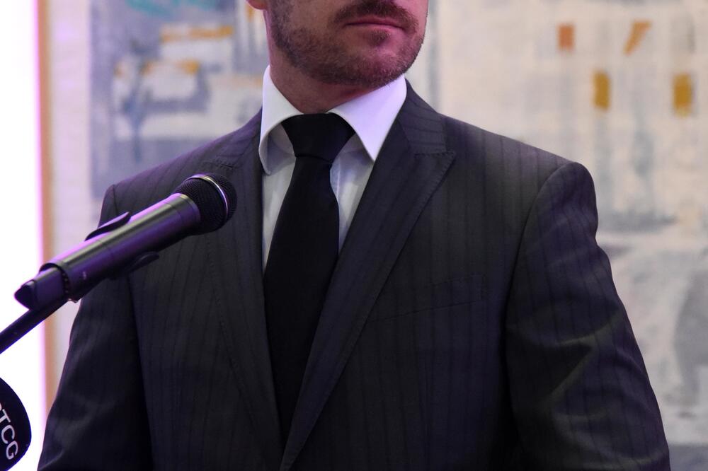 Zajedničkim radom do muzeja: Aleksandar Bogdanović, Foto: Boris Pejović