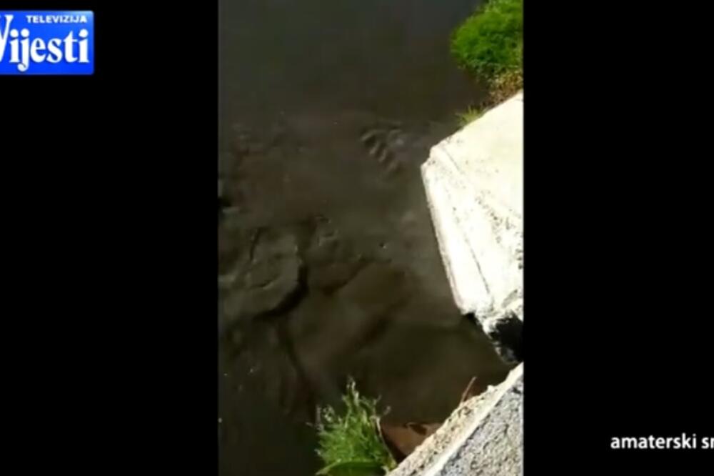 Neprečišćena voda se izliva u rijeku Zetu, Foto: TV Vijesti