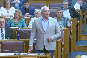 Mandić najavio nove proteste DF-a i pozvao ostatak opozicije da se...