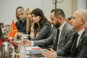 Njemačka će pružiti podršku Crnoj Gori u pitanjima zaštite životne...