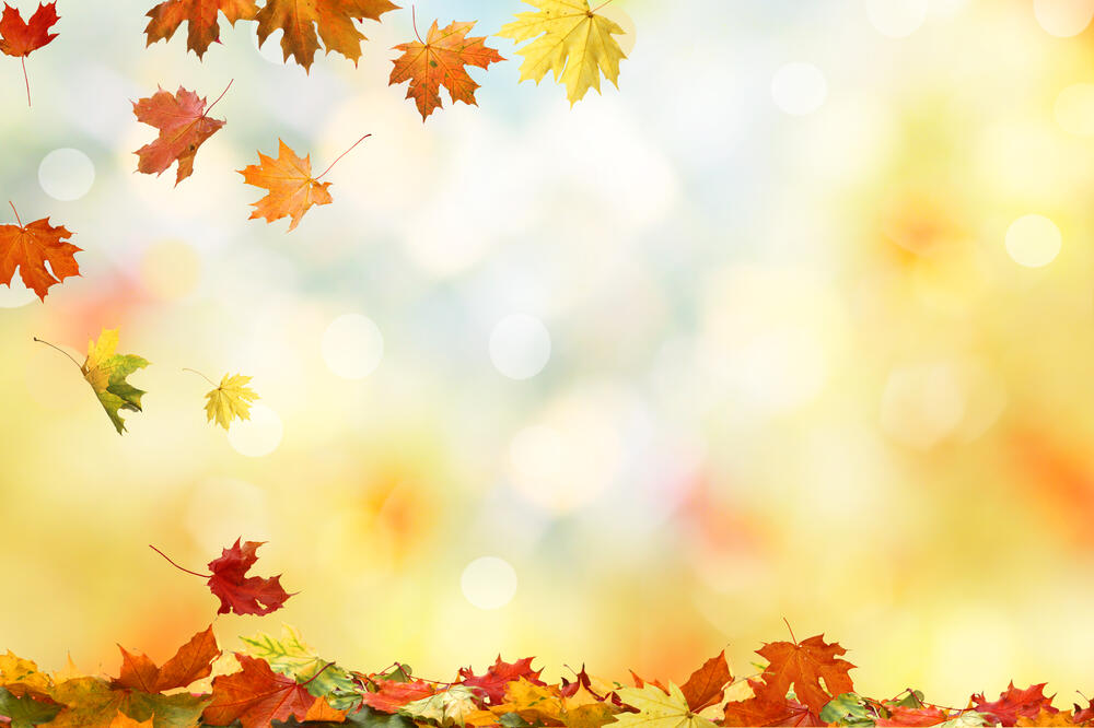 Ilustracija, Foto: Shutterstock