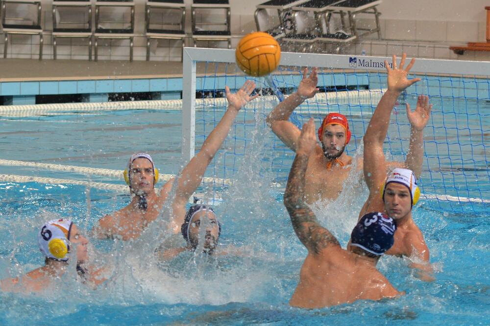 Sa utakmice Jadran - Primorac, Foto: Milan Šapurić