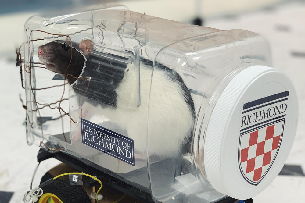 Pacov u autiću, Foto: UNIVERSITY OF RICHMOND