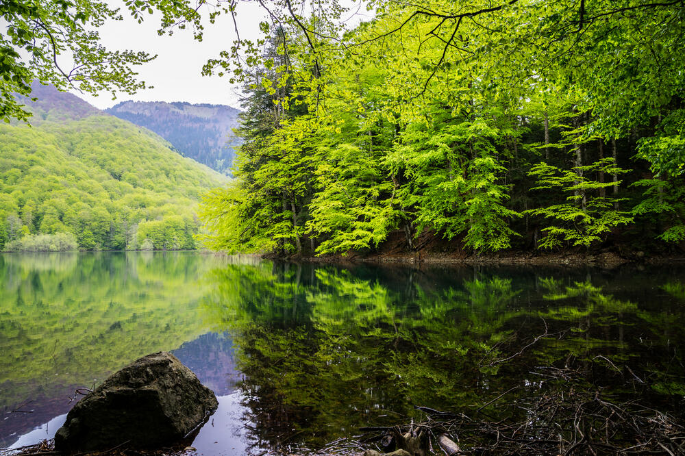 Biogradsko jezero, Foto: Shutterstock, Shutterstock