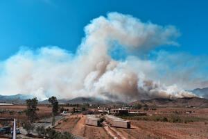 Požar pustoši sjever Kalifornije: Gotovo 90.000 ljudi napustilo...
