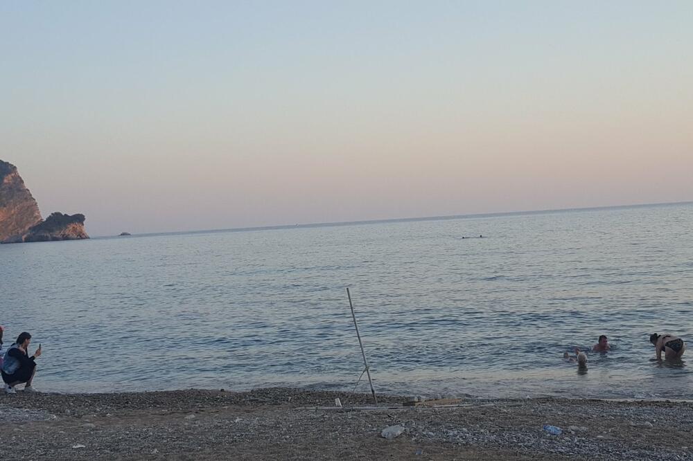 Detalj sa Ričardove glave, Foto: Ivana Gudović