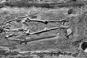 Praški skelet: Viking, Sloven ili Sovjet - pitanje staro 11 vjekova