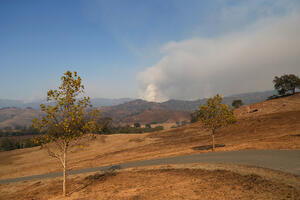 VOA: I dalje bijesne požari u Kaliforniji, evakuisani Švarceneger...