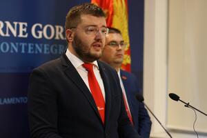 Koprivica: DPS neskriveno želi kontrolu sudstva i tužilaštva