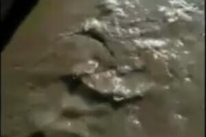 Kvar na pumpi zamutio Zetu?