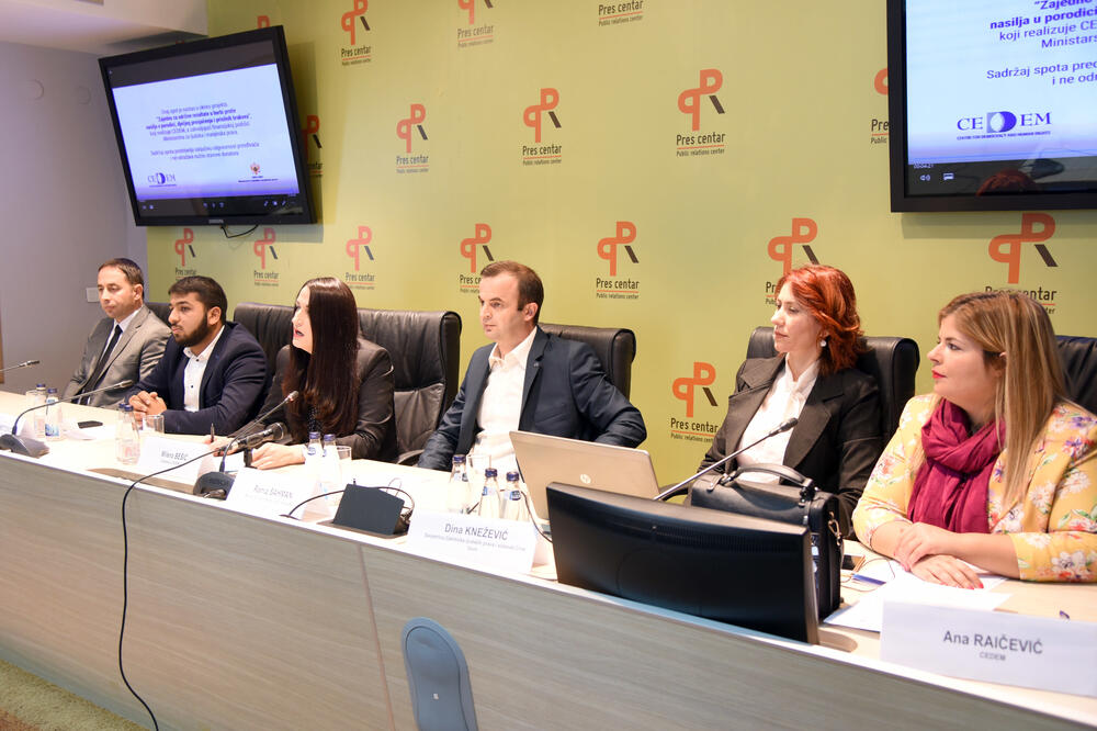 CEDEM konferencija o nasilju u porodic, Foto: Zoran Đurić