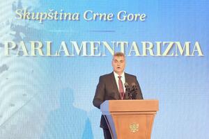 Brajović pozvao na politički dijalog sve partije