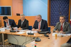 Za godinu 41 revizija DRI i 12 negativnih mišljenja