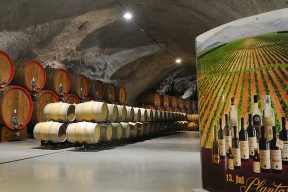 Plantaže, Foto: Savo Prelević