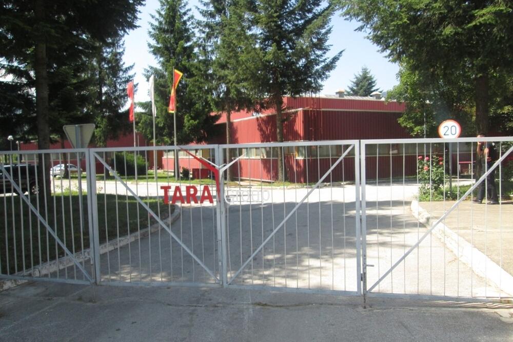 Crnogorski zakon ne precizira mjesto održavanja skupštine: Tara, Foto: Dragana Šćepanović