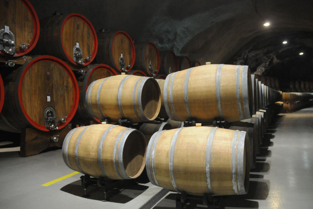 Ilustracija, Foto: Luka Zeković