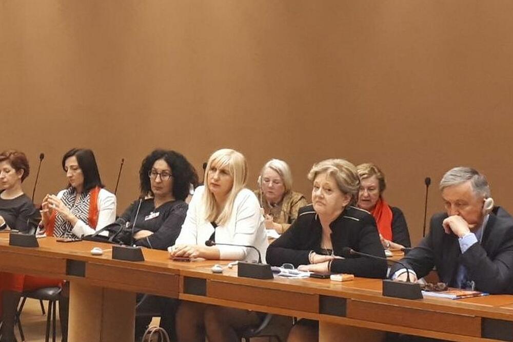 Jonica i Ćatović u Ženevi, Foto: Ženska politička mreža