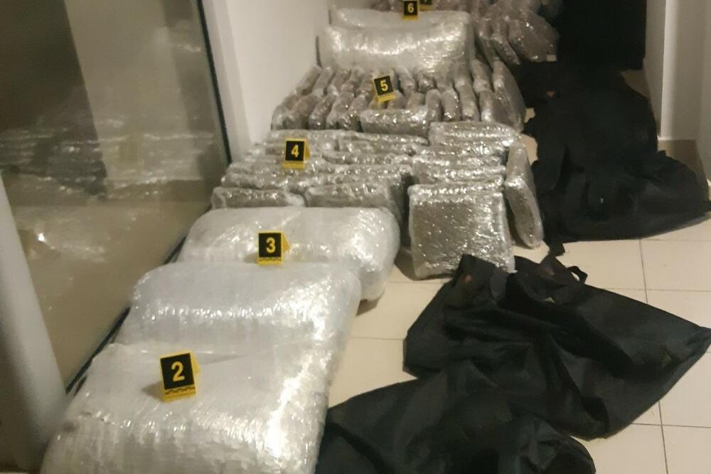 Zaplijenjena marihuana, Foto: Uprava policije