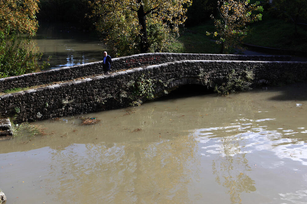 Detalj sa Sastavaka, Foto: Luka Zeković