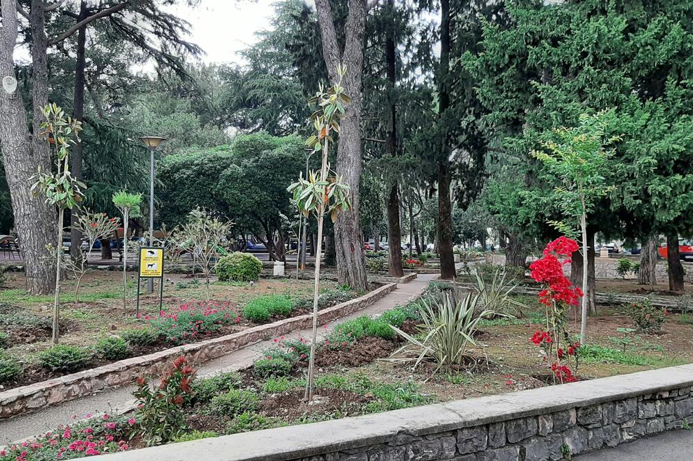 Novouređeni dio jednog od parkova u Tivtu, Foto: Siniša Luković