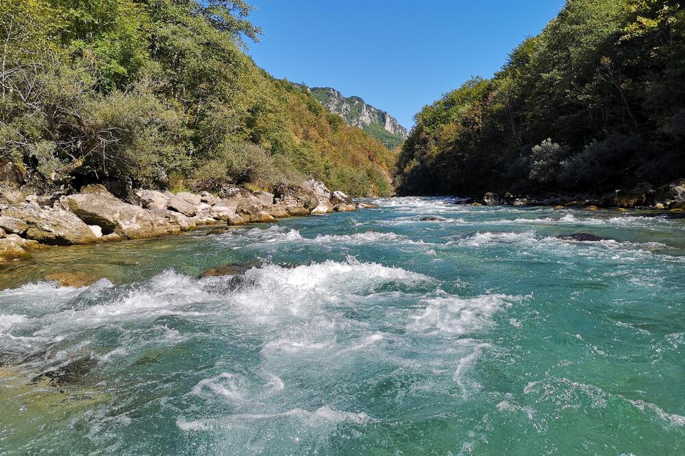 Tara, Foto: Jelena Jovanović