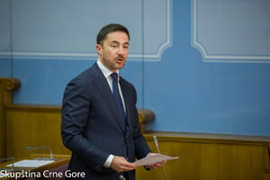 Bogdanović: Vlada je ispunila programske obaveze, to nije prepreka...